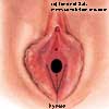 L'hymen fminin